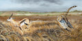 Reproduced giclee' of a painting of a cheetah chasing an antelope in a grassy field of Kenya