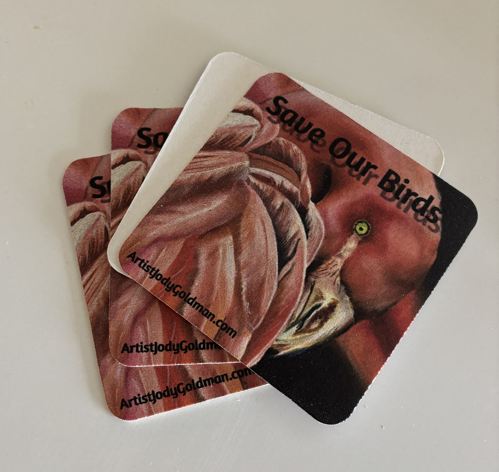 Save our BIrds Coasters