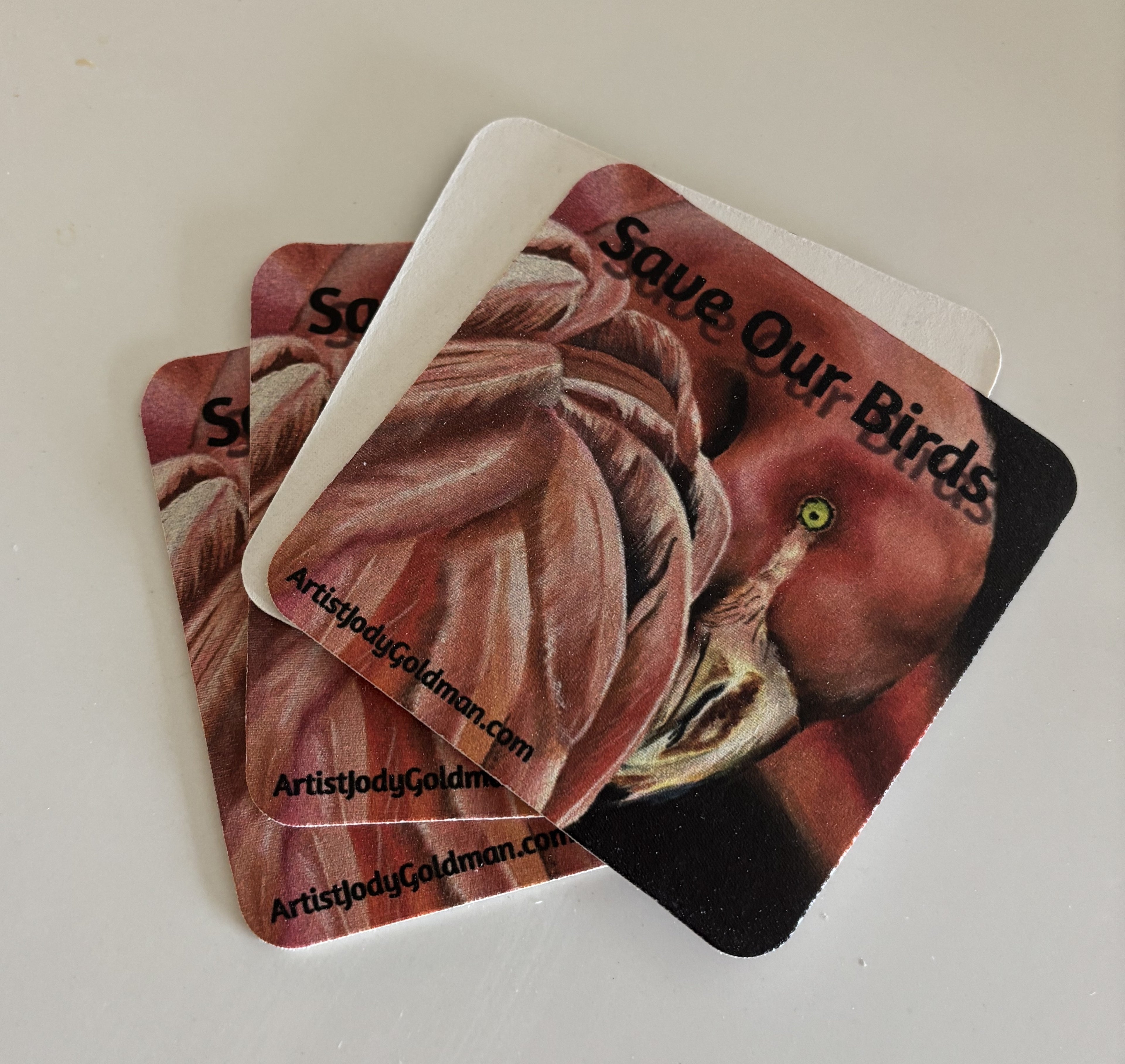 Save our BIrds Coasters