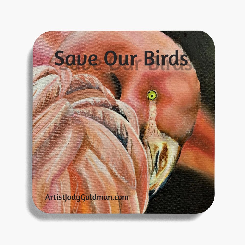 Save our BIrds Coasters