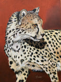 Greeting card - Cheetah